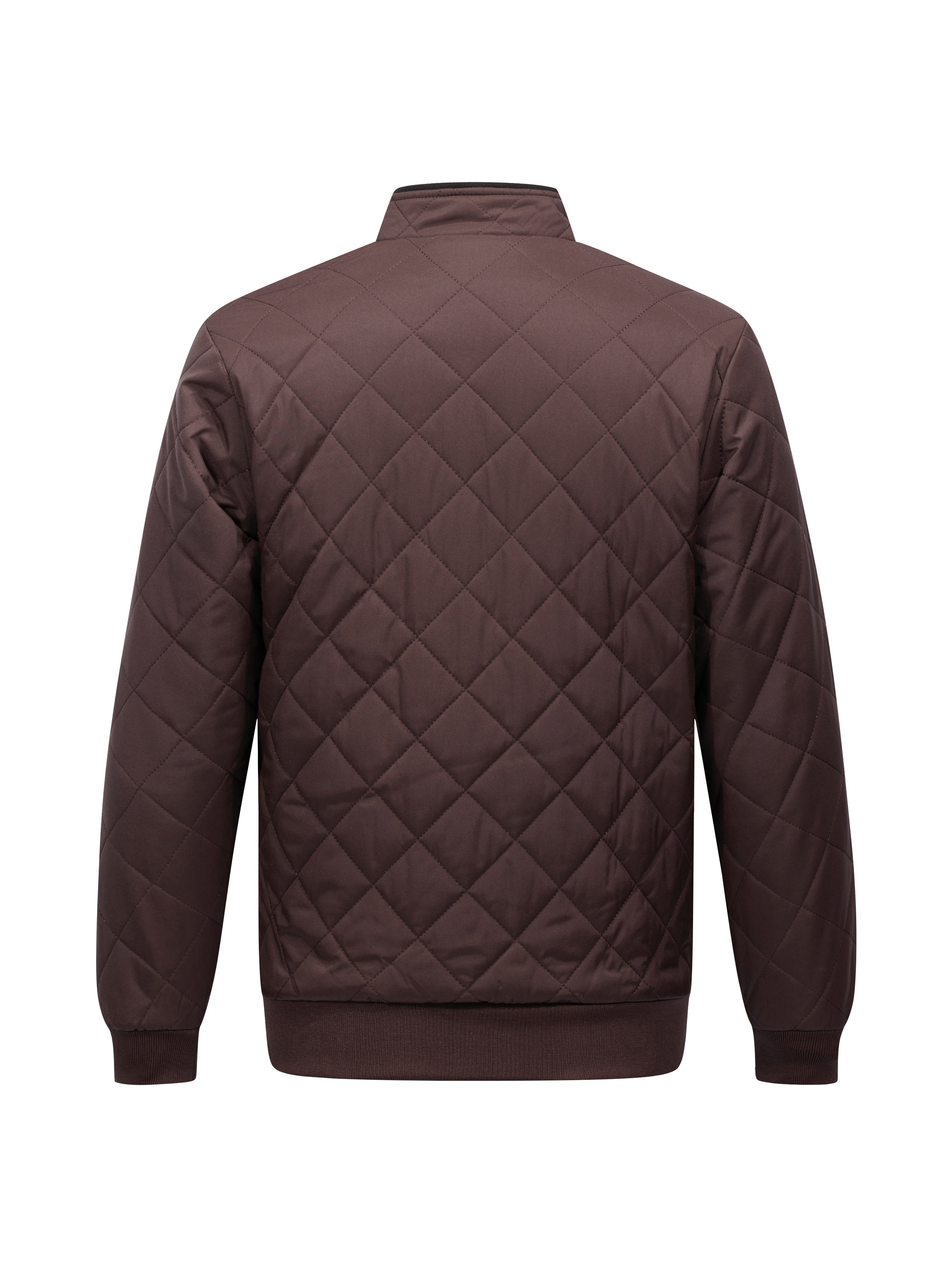 Everline Puffer Jacket